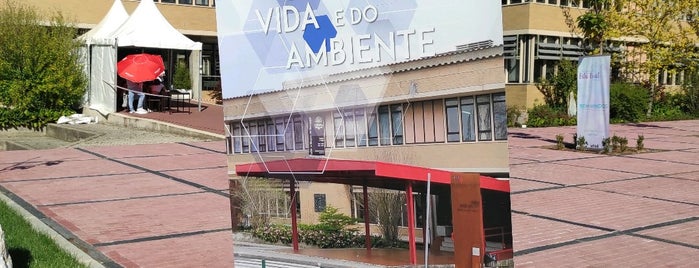 Universidade de Trás-os-Montes e Alto Douro (UTAD) is one of Favoritos.