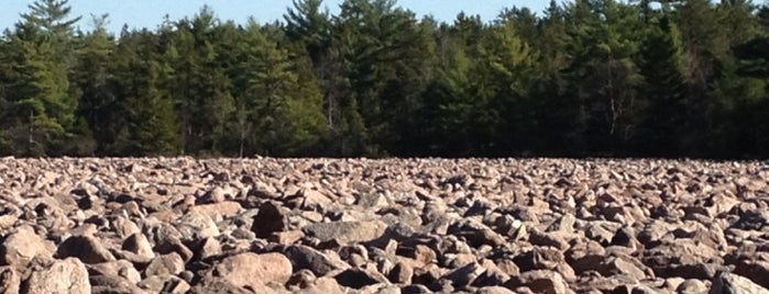 Boulder Field Hickory Run State Park is one of Warwick To Do/Redo.