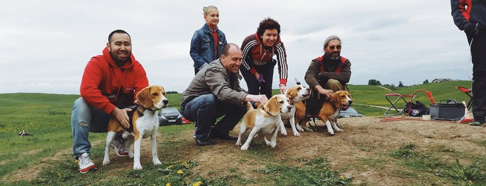 Курсинг, Собачьи Бега is one of Polinaさんのお気に入りスポット.