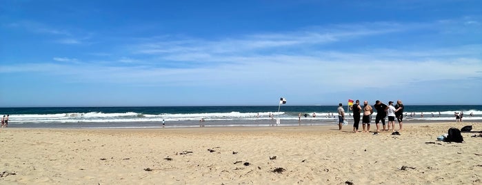 Thirroul Beach is one of Local Beaches.