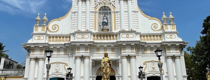 Our Lady of Immaculate Conception Cathedral is one of Puducherry.