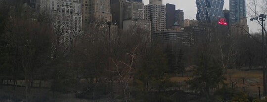 Central Park is one of New York!.