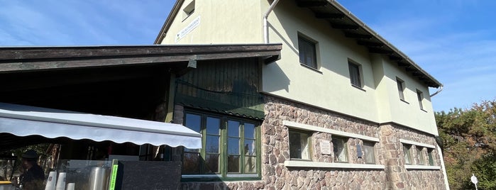 Kőhegyi Menedékház is one of Budai hegység/Pilis.