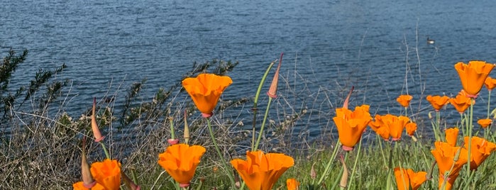 Almaden Lake Park is one of activities for kids.