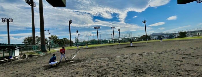 夢の島野球場 is one of baseball stadiums.