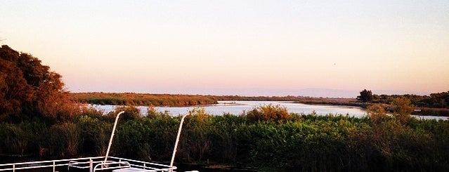 Tinsley Island is one of สถานที่ที่ Rob ถูกใจ.