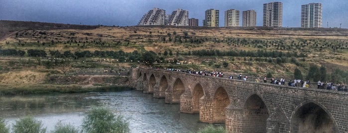 On Gözlü Köprü (Dicle Köprüsü) is one of Ayşem'in Beğendiği Mekanlar.