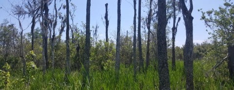 Jean Laffitte National Historical Park & Preserve is one of Lieux qui ont plu à Plwm.