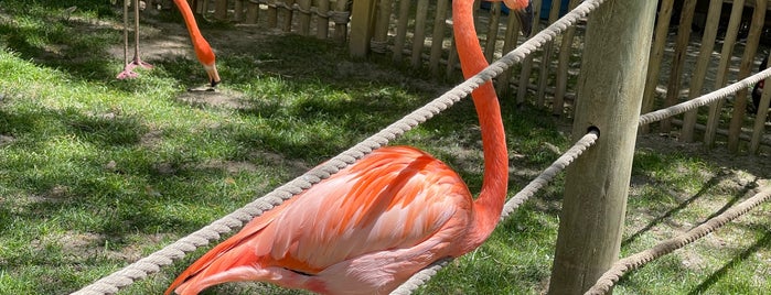 Cape May County Park & Zoo is one of 10/22.