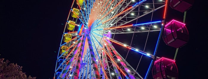 Trimper Rides is one of Ocean City.