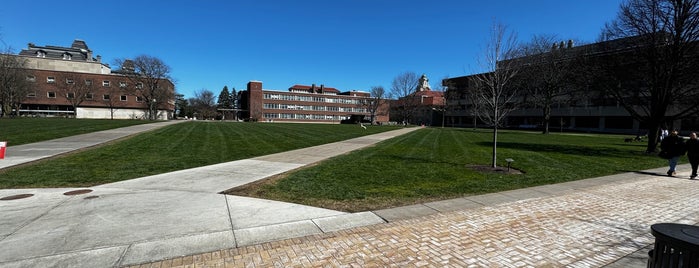 Syracuse University Quad is one of Campus Sports Venues.