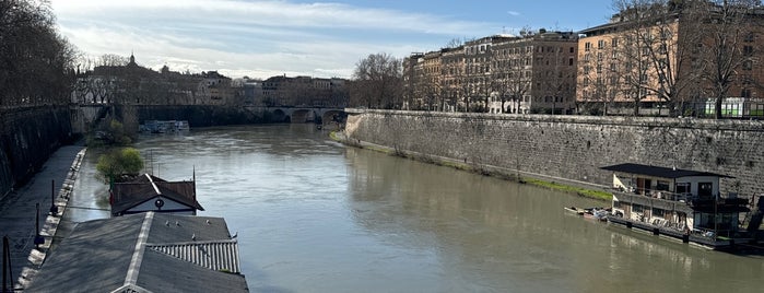 Ponte Regina Margherita is one of Rome / Roma.