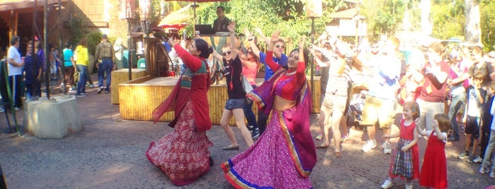 Bhangra Dance Party is one of Walt Disney World - Animal Kingdom.