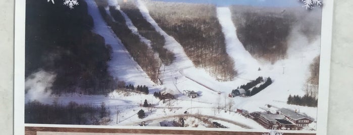 Plattekill Mountain is one of สถานที่ที่ Aleksey ถูกใจ.