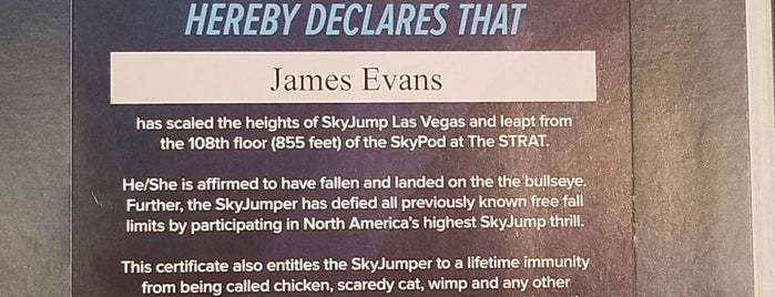 SkyJump is one of Las Vegas Things to do.