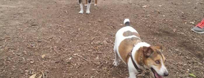 Riata WoodTrail Dog Park is one of Austin Dog's Best Friend Badge.