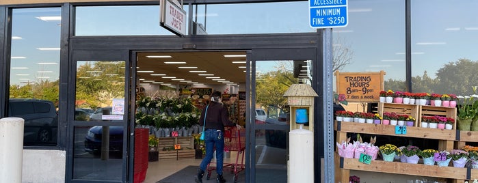 Trader Joe's is one of San Diego.