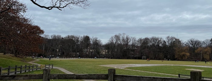 Amory Park is one of Boston.