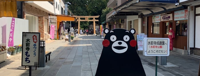 水前寺公園前交差点 is one of 2011.12 Kumamoto.