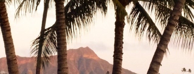 Ala Moana Beach Park is one of Hawai'i Essentials.