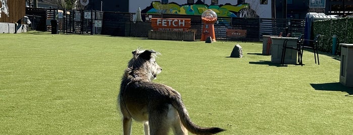 Fetch Park & Ice House is one of The 15 Best Dog Parks in Atlanta.