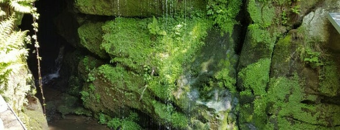 Amselfall is one of Vadim'in Kaydettiği Mekanlar.