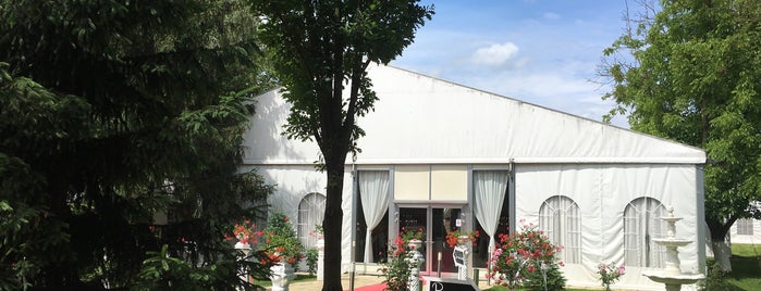 Gallery Social Club is one of Târgu Mures.