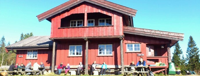 Skjennungstua is one of สถานที่ที่บันทึกไว้ของ Torstein.
