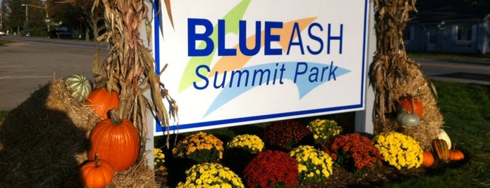 Blue Ash Summit Park is one of สถานที่ที่ Mark ถูกใจ.