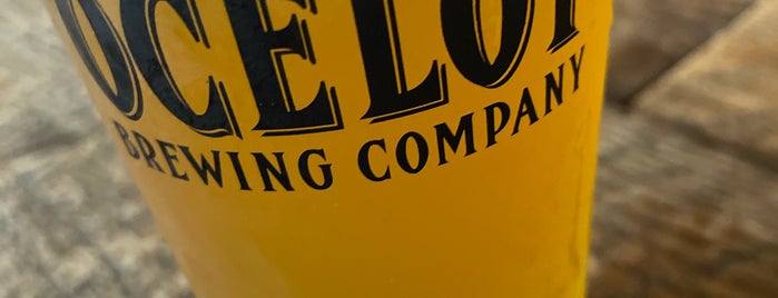 Ocelot Brewing Company is one of Best Beer Spots.