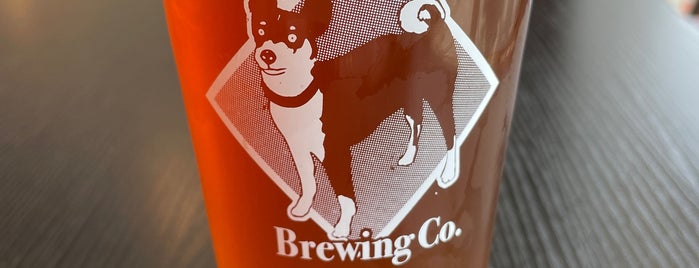 Little Dog Brewing is one of Jerz.