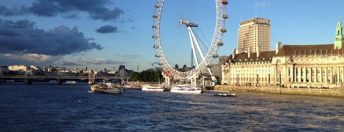 The London Eye is one of Places I want to go in London.