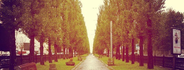 Бульвар Тараса Шевченка / Shevchenko Boulevard is one of Tempat yang Disukai Sergey.