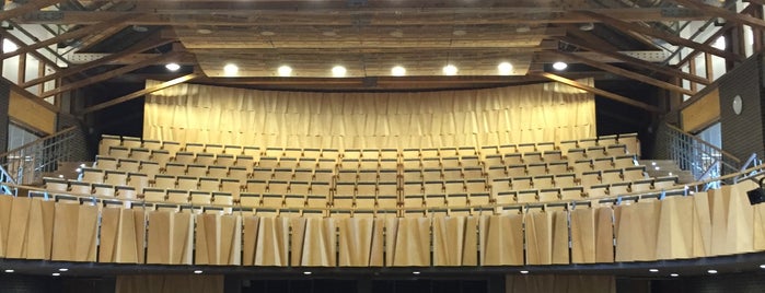 Vidzemes koncertzāle "CĒSIS" is one of Cēsis.