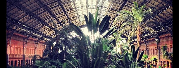 Jardín Tropical - Invernadero de Atocha is one of Locais curtidos por Sam.