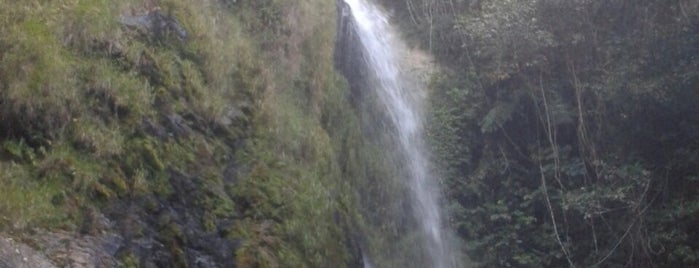 Cachoeira Do Paraiso is one of Tempat yang Disukai Priscila.
