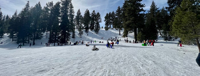 Sledding Hill is one of Truckee.