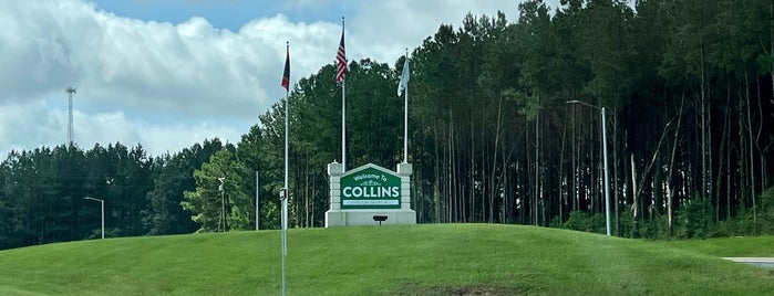 City of Collins is one of Territory.