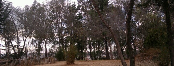Parque Caballerangos is one of Lieux qui ont plu à Thelma.