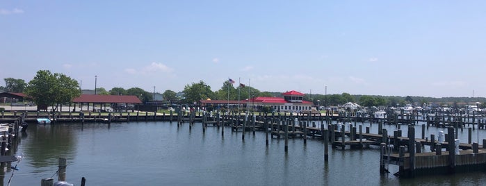 Somers Cove Marina is one of Maryland Green Travel Marinas.