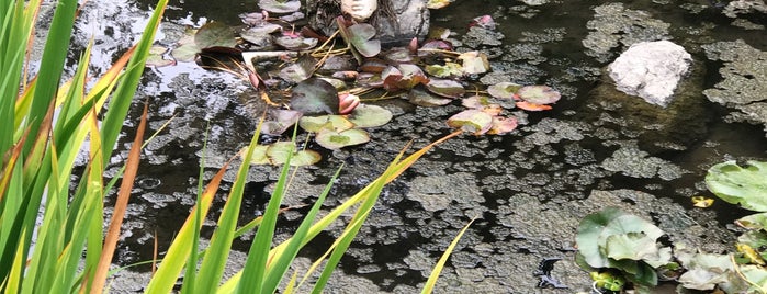 Waterfowl Pond is one of Tempat yang Disukai Bourbonaut.