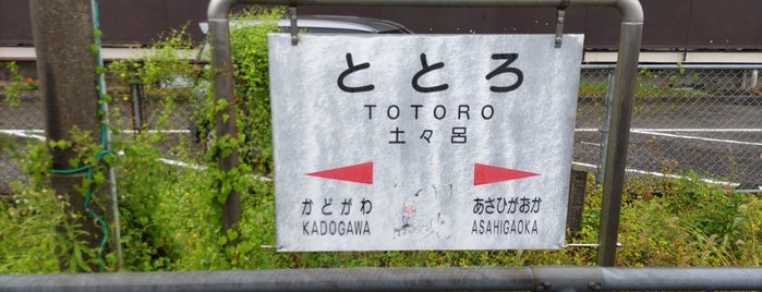 Totoro Station is one of 日豊本線の駅.