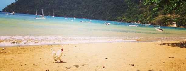 Charlotteville is one of Tobago Spots.