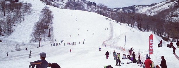 Kagura Ski Resort is one of Travel : Sakura Spot.