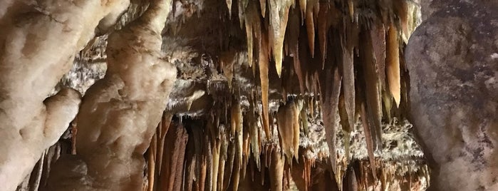 Drogarati Cave is one of Locais curtidos por Christina.