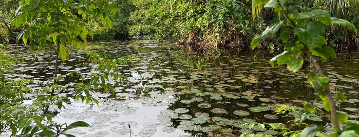 Loboc River Resort is one of Oxana 님이 좋아한 장소.