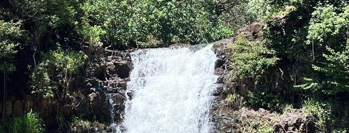 Waimea Valley Waterfall is one of Oahu.
