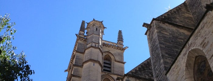 Catedral de San Pedro is one of visita a Montpellier.