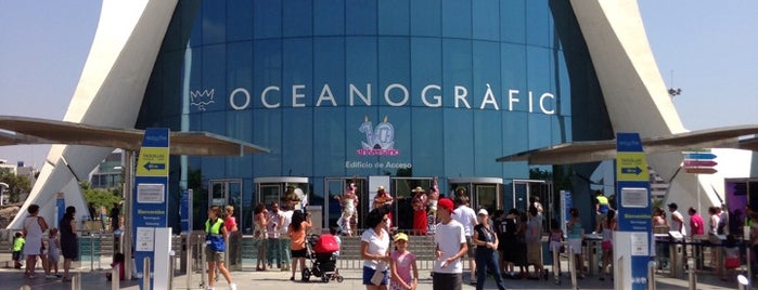 L'Oceanogràfic is one of Turismo en Valencia / tourism in Valencia.