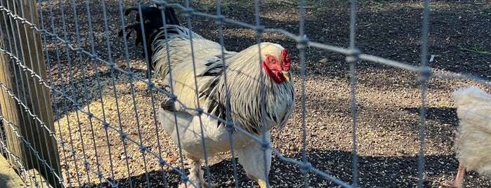 Fink's Farm is one of FARMS, APPLE/PUMPKIN PICKING, GARDENS.